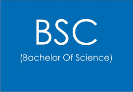 Course - Diploma in Computer Application - 6 Month